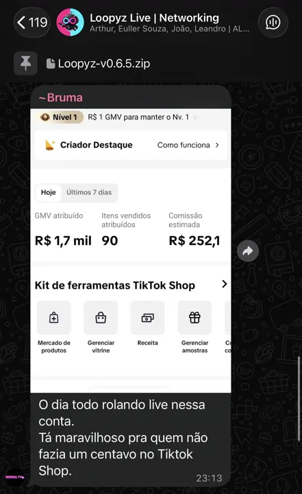 Depoimento de aluno do Loopyz